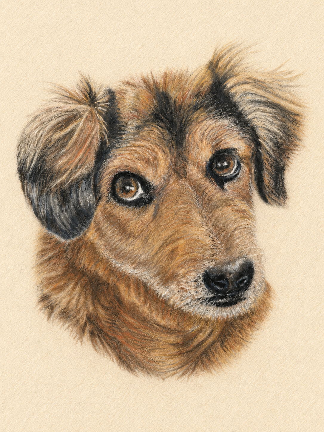 Pastel portrait of Red, a brown dog