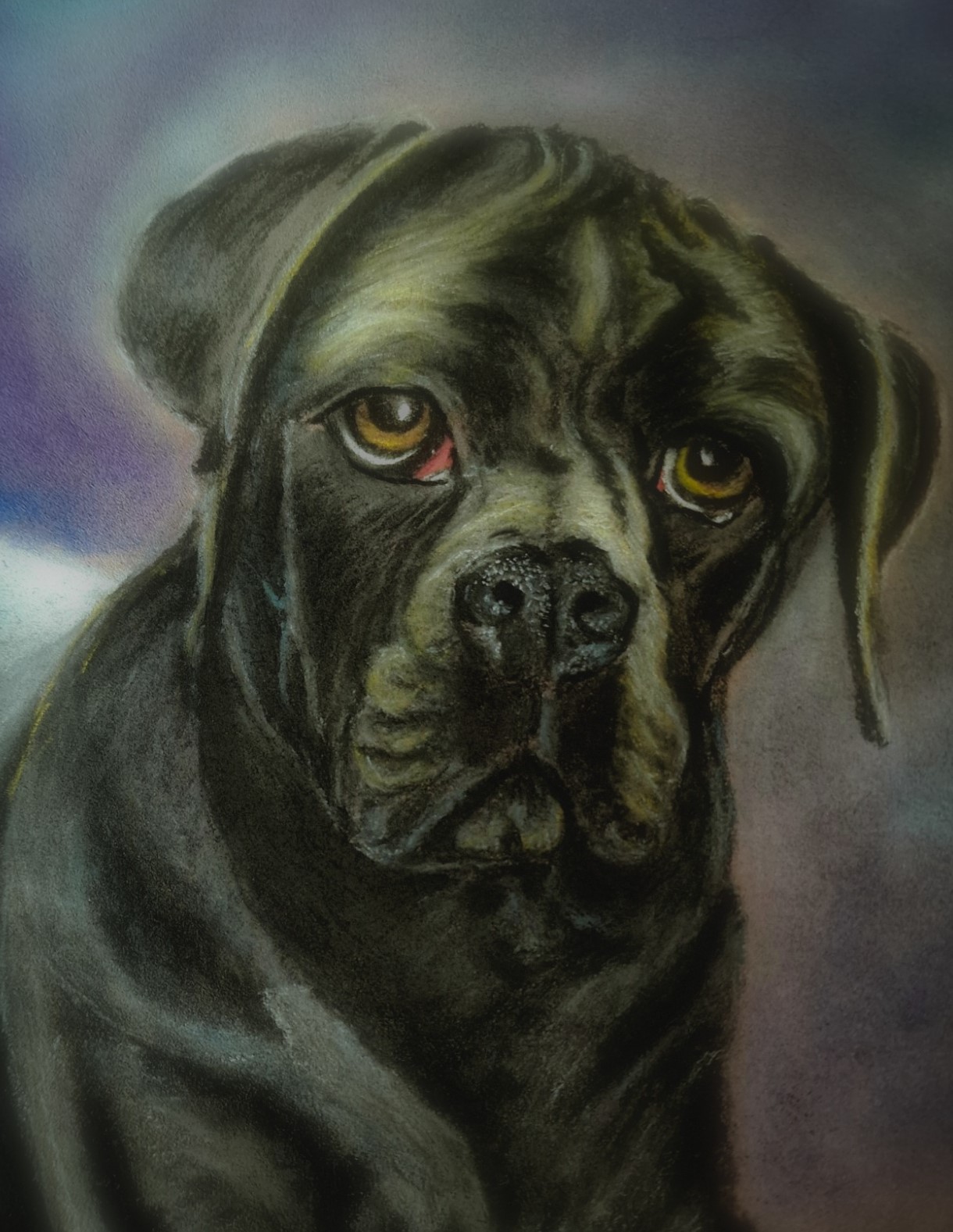 Pastel portrait of Harley, a black boxer
