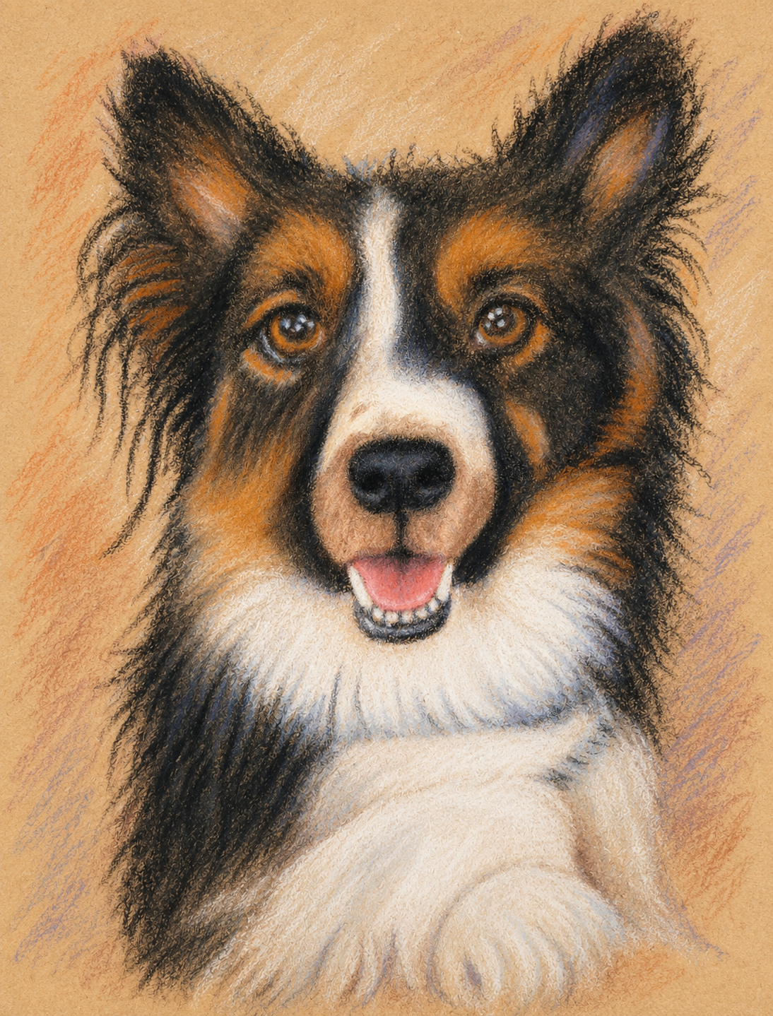 Pastel portrait of Jock, a tri-colour border collie