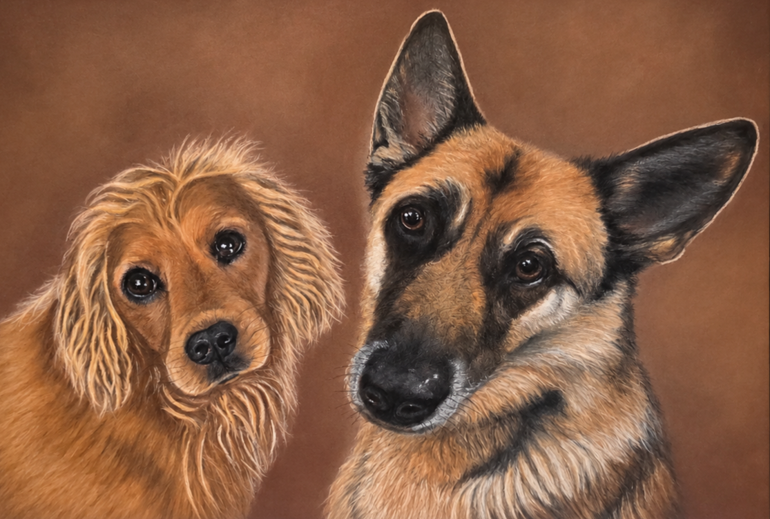 Custom soft pastel pet portrait by Claire of Basil and Penny — Basil, a golden Cocker Spaniel, and Penny, a black and tan German Shepherd, sitting side by side against a warm brown background