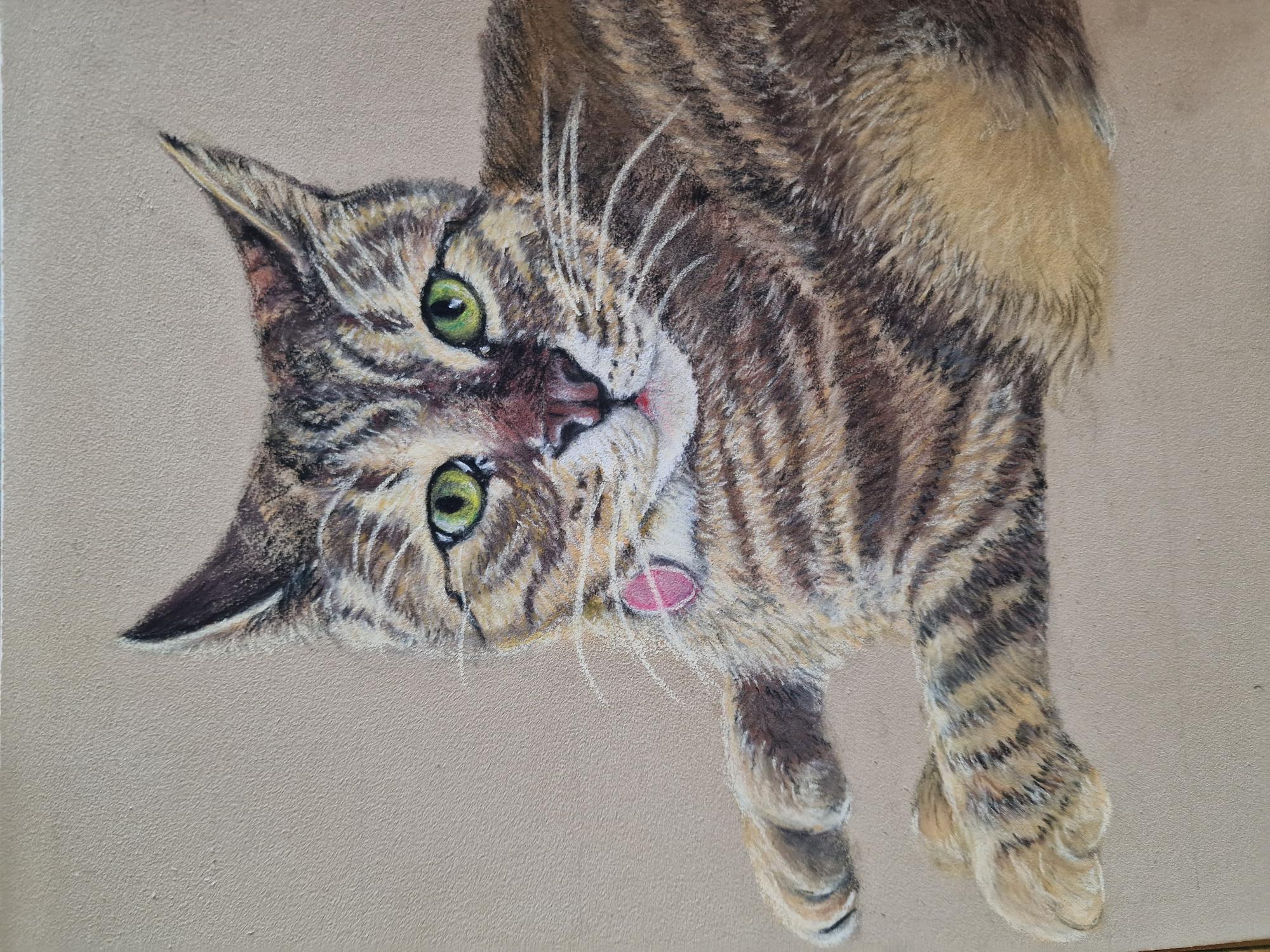 Pastel portrait of a tabby cat with green eyes
