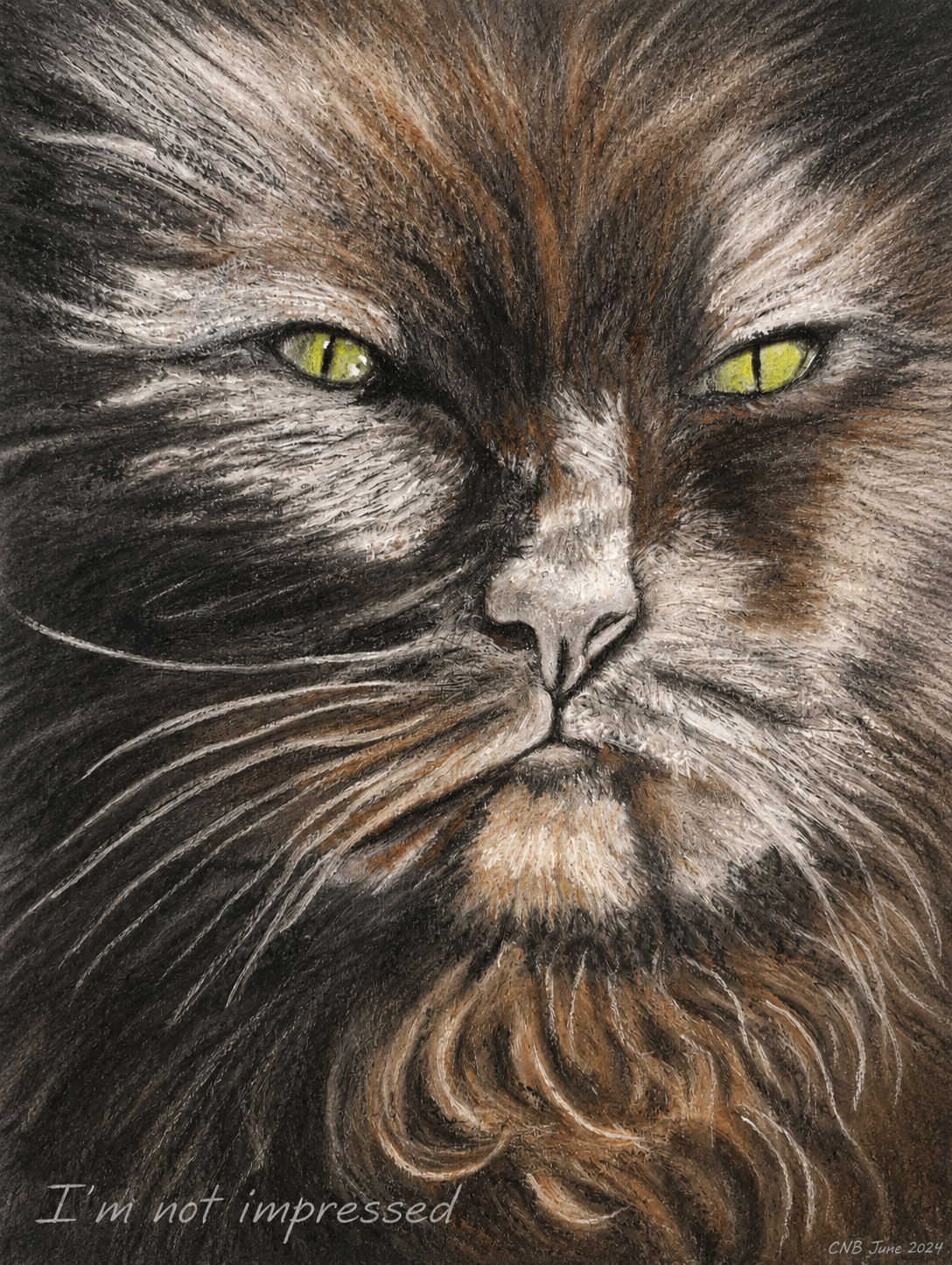 Pastel portrait of a long-haired cat with striking green eyes