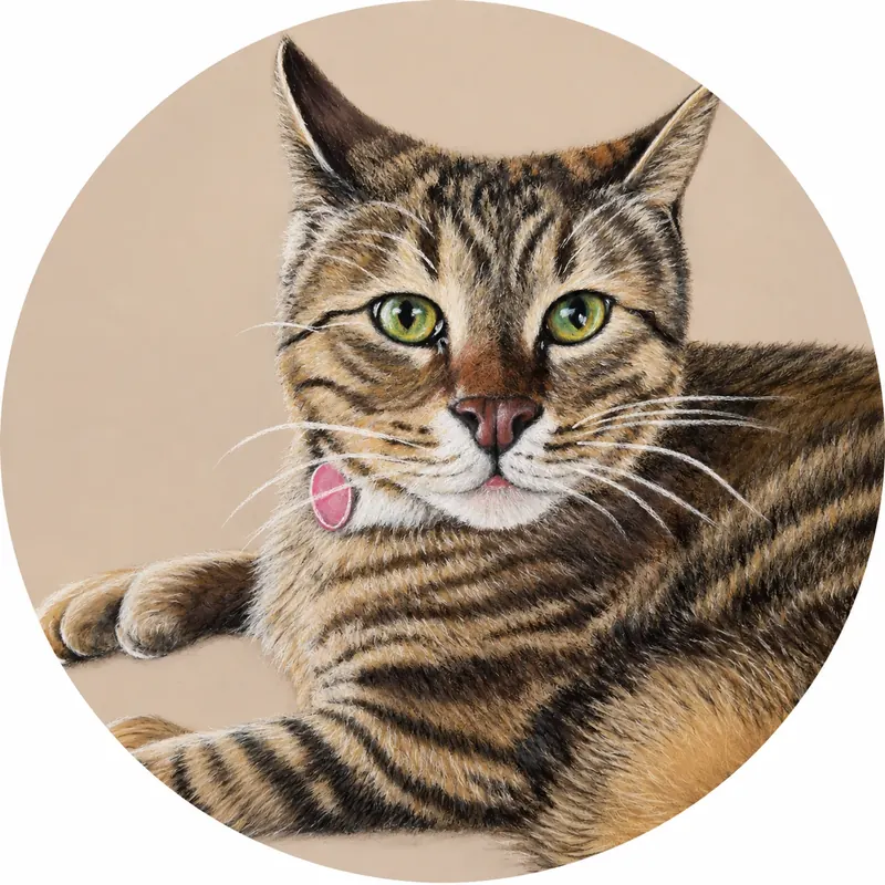 Custom soft pastel pet portrait by Claire of Freya, a polydactyl tabby cat