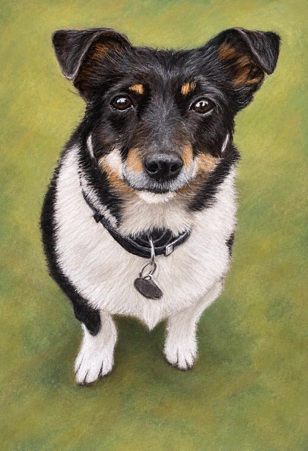 Custom soft pastel pet portrait by Claire of Asia, a black, white and tan Jack Russell, against a green background