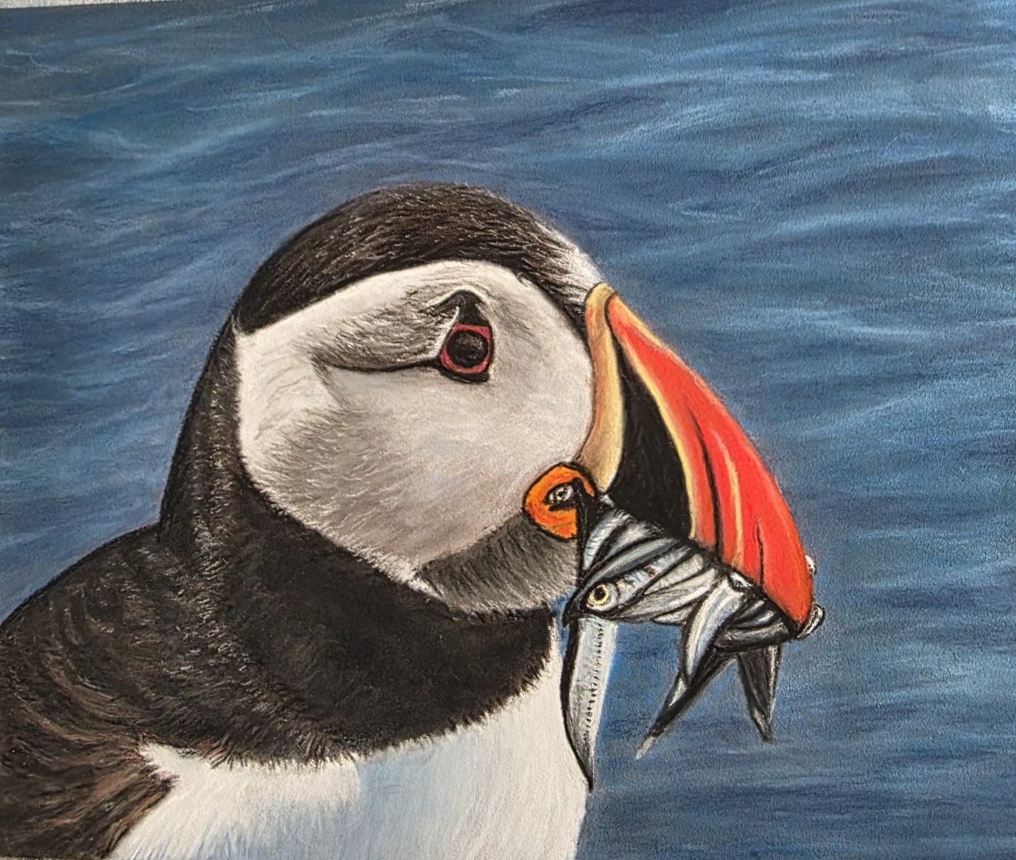 Soft pastel portrait by Claire of an Atlantic puffin holding a beak full of fish against deep blue water