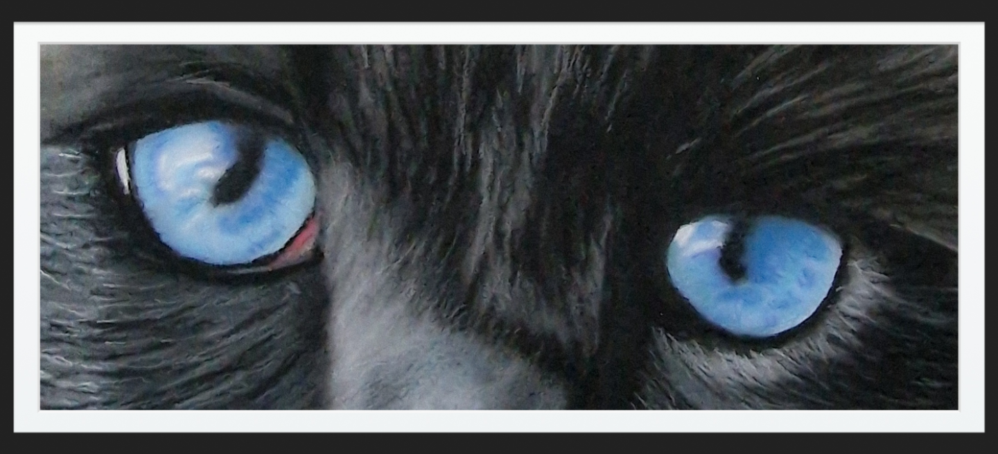 Close-up pastel portrait of a cat's striking blue eyes
