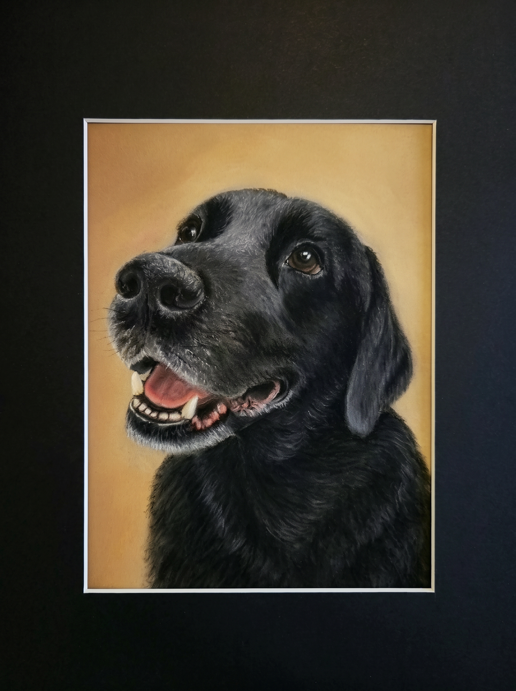 Pastel portrait of Jaxson, a black Labrador, smiling warmly against a golden background